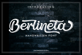Berlineta: Elevating Digital Brand Identity with Handwritten Elegance