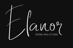 Elanor: A Designer's Real-World Review for Brand Identity