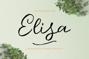 Elisa Typeface: A Playful Script Font for Handmade Branding