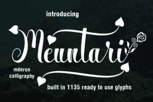 Meuntari: A Handmade Script Amp for Modern Campaigns