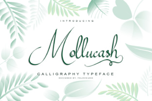 Mollucash: A Hand-Drawn Calligraphy Typeface for Authentic Branding