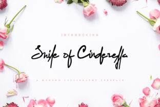 Smile of Cinderella: A Modern Script Typeface for Editorial Design