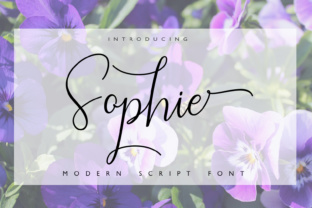 Sophie Typeface: Elevating Campaign Visuals with Elegant Script Design