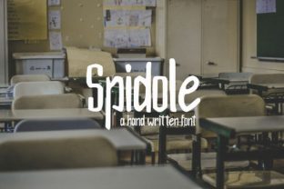 Spidole: The Handwritten Typeface That Elevates Your Brand
